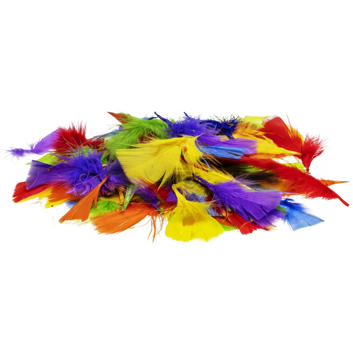 Artyom Feathers Rainbow Assorted 500 Pack Gompels Care Nursery