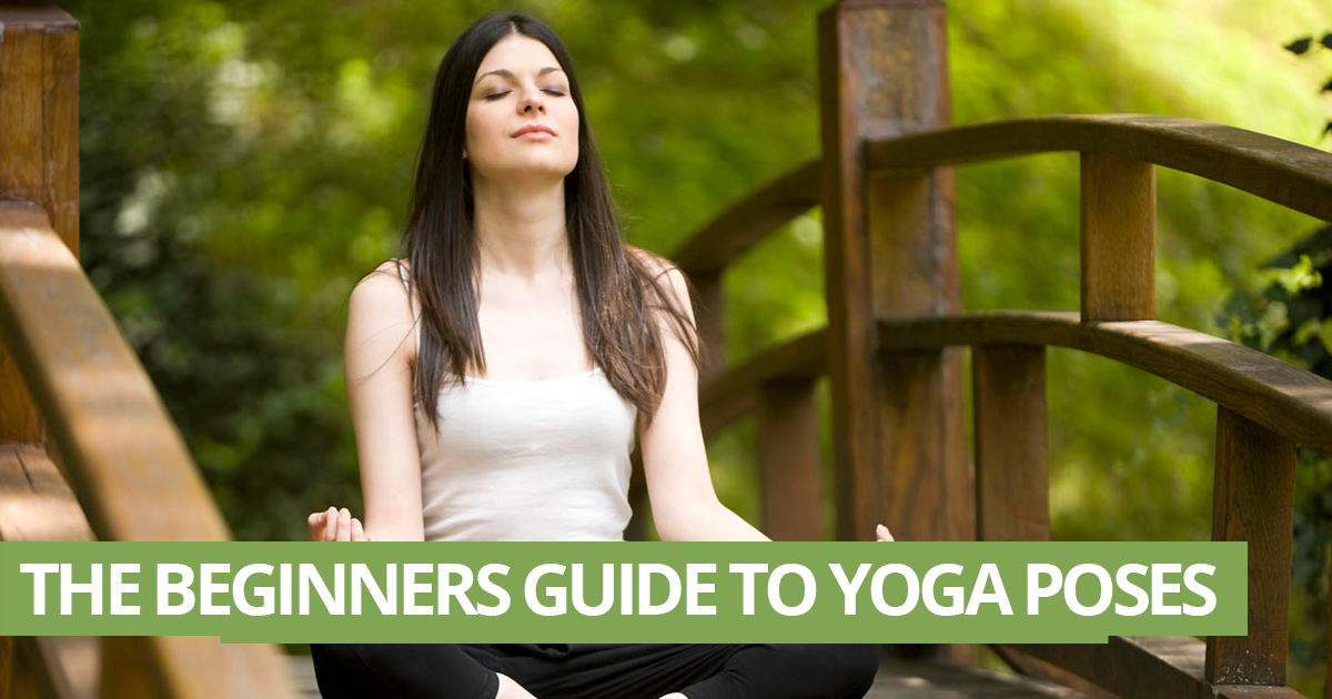 The Beginner's Guide to Yoga Poses