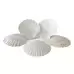 Assorted Large White Scallop Shells 15 Pack