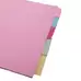 Extra Wide Subject Dividers 5 Part