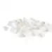 Assorted White Sea Shells 1.3kg