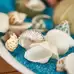 Assorted White Sea Shells 1.3kg