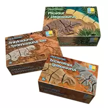 Dig and Discover Dinosaur Assorted Pack