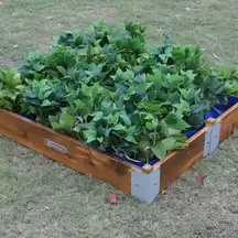 Little Garden Square Planter