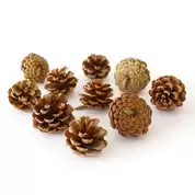 Pine Cones 500g