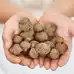 Acorns 200g