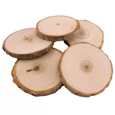 Wood Circles 10 Pack