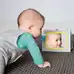 Taf Toys Koala Tummy Time Book