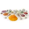 Assorted Sea Shells 1.3kg