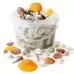 Assorted Sea Shells 1.3kg