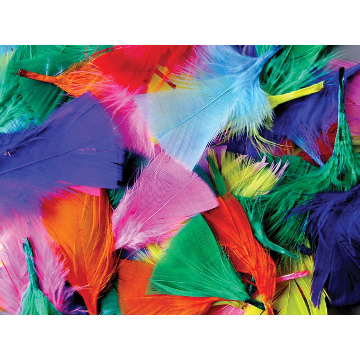 Long hotsell coloured feathers