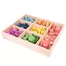 Rainbow Wooden Super Set With 7 Part Sorting Tray