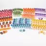 Rainbow Wooden Treasures Super Set 420 Pack