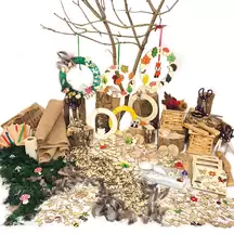 Forest Schools Crafting Kit